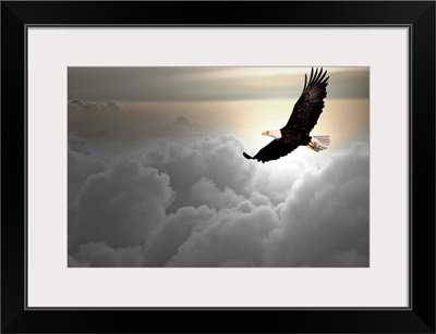 Bald eagle flying above the clouds