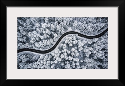 Curvy Windy Road In Snow Covered Forest