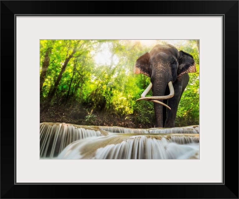 Erawan Waterfall with an elephant Kanchanaburi Thailand.