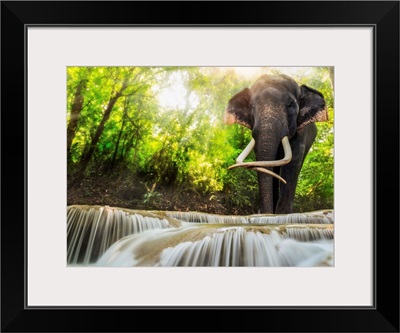 Erawan Waterfall With An Elephant