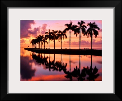 Line of silhouetted palm trees reflected in still water in Florida