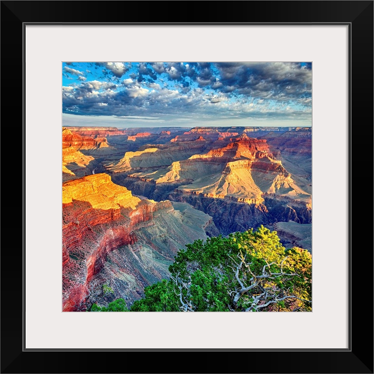 Morning Light At Grand Canyon