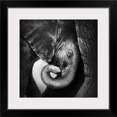 Mother And Baby Elephant, Etosha National Park