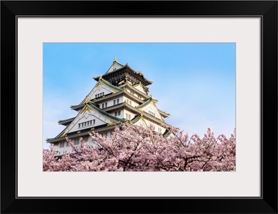 Osaka Castle With Cherry Blossoms, Japan
