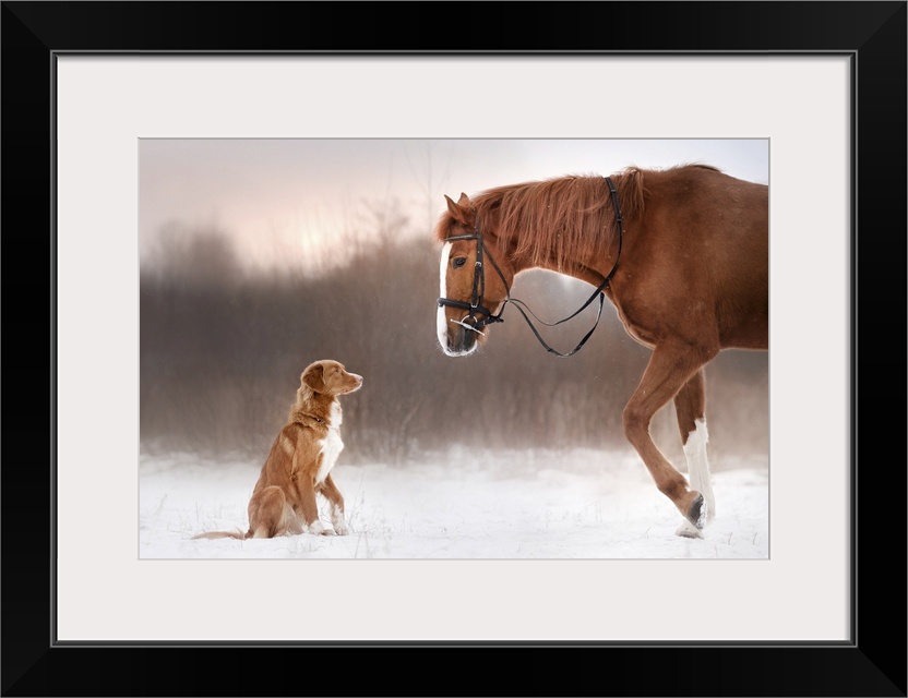 Red horse and red dog walking in the field in winter.