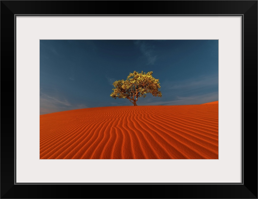 Rippled Sand Dunes And Tree Growing Under Blue Sky In Desert