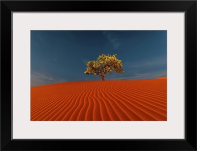 Rippled Sand Dunes And Tree Growing Under Blue Sky In Desert