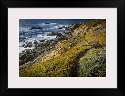 Rocky Big Sur Pacific Coast Cliff, California