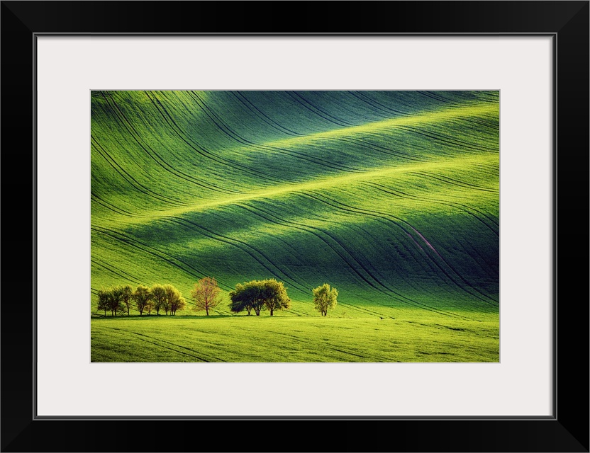 Rolling Sunny Hills With Fields And Trees, Southern Moravia, Czech Republic