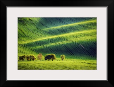 Rolling Sunny Hills With Fields And Trees, Southern Moravia, Czech Republic