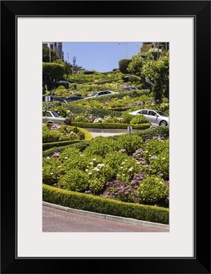 View Of Lombard Street, The Crookedest Street In The World, San Francisco, California