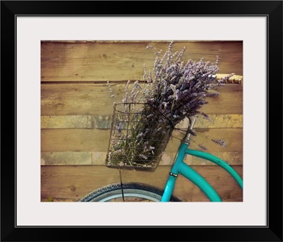 Vintage Bicycle With Basket Holding Lavender