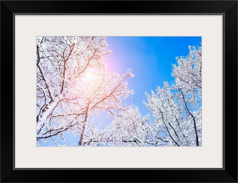 Snow covered trees in the mountains at sunset. Beautiful winter landscape.