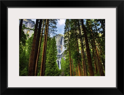 Yosemite Waterfalls Behind Sequoias In Yosemite National Park, California