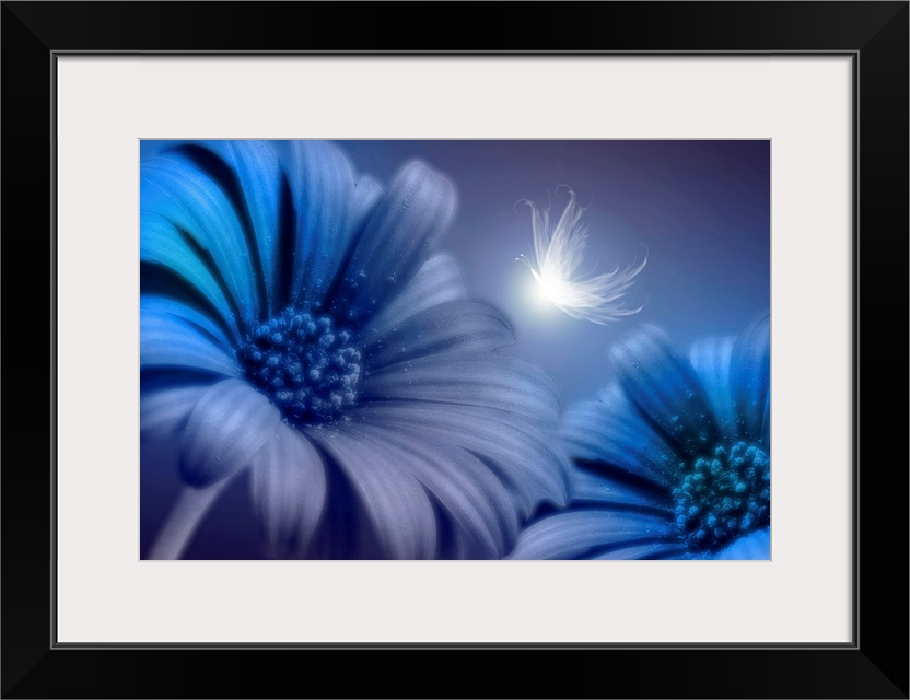 Mixed media artwork of an up-close shot of two daisies with a glowing butterfly.
