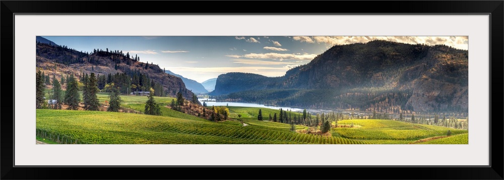 A rolling vineyard with beautiful mountains and landscape located in the Okanagan Valley, Canada.