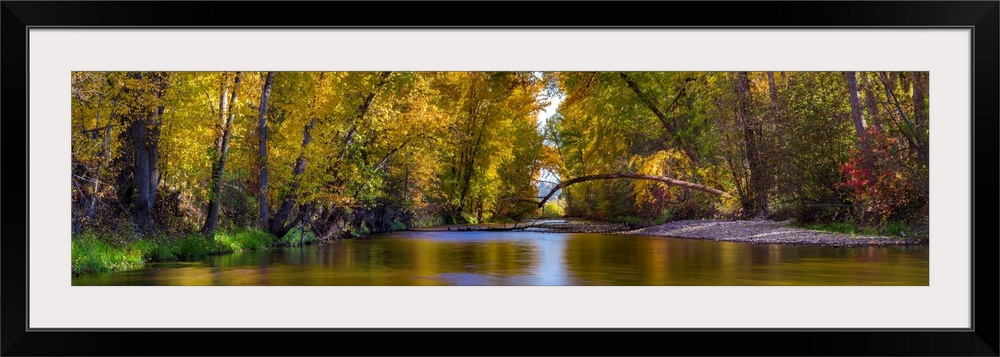 Multi-stitched panorama of a quiet fall colored creek with trees in British Columbia, Canada.