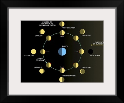 A diagram showing the phases of the Earths moon