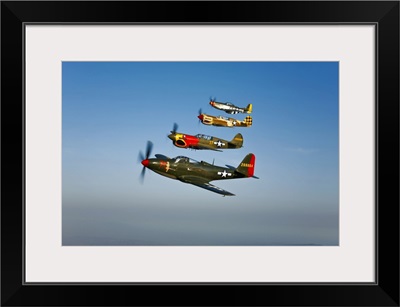 A P 36 Kingcobra, two Curtiss P 40N Warhawks, and a P 51D Mustang in flight