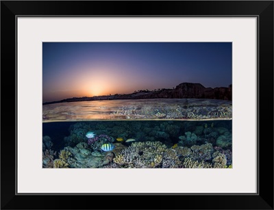 An Over Under Of The Sunset In The Red Sea And A Coral Reef
