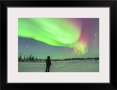 Aurora borealis with Vega and Arcturus stars over Churchill, Manitoba, Canada