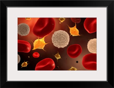 Conceptual image of platelets with red blood cells