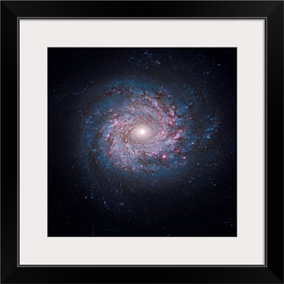 Face on spiral galaxy NGC 3982