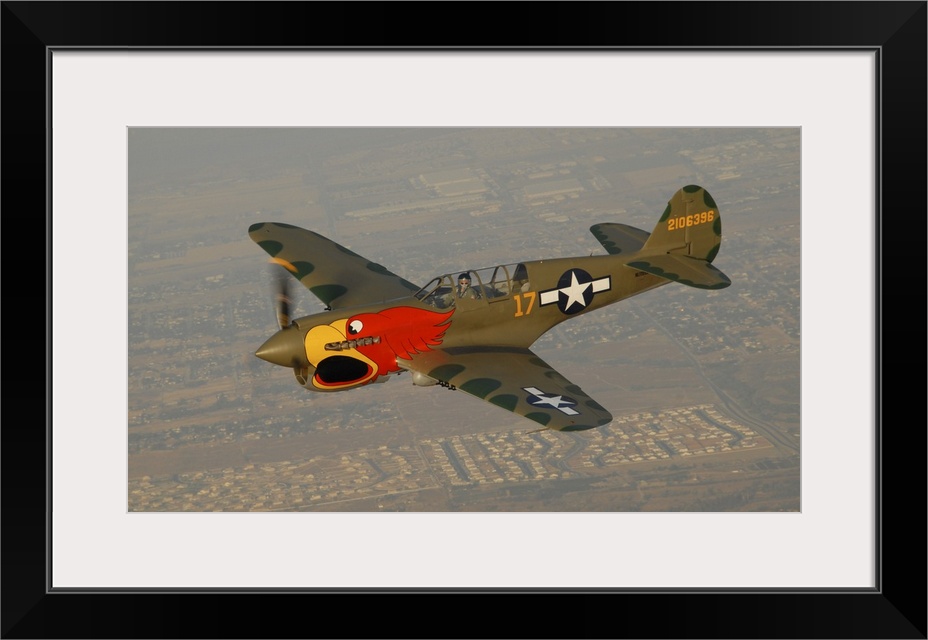 P-40 Warhawk flying over Chino, California.