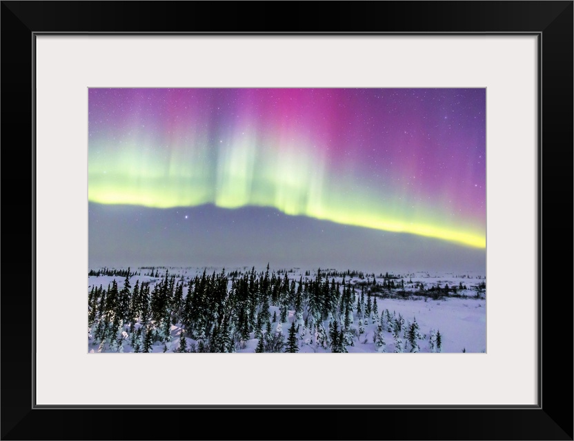 February 20, 2015 - Aurora borealis from Churchill, Manitoba, Canada. This is looking north toward a curtain with pink upp...