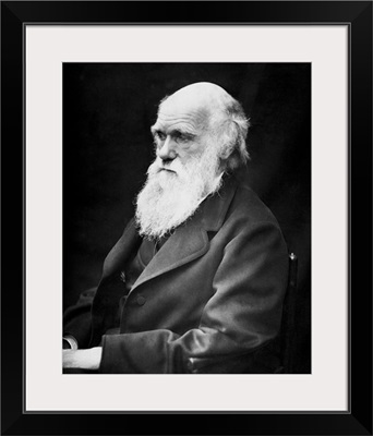 Portrait of naturalist and geologist Charles Darwin