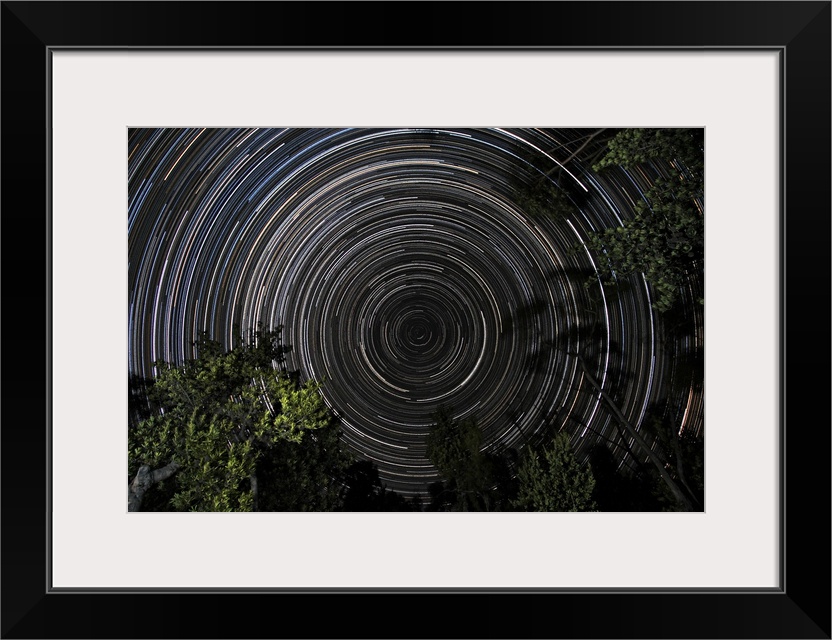 Southern Sky star trails over Banksia Trees