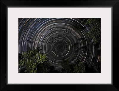 Southern Sky star trails over Banksia Trees