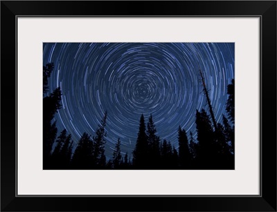Star trails and a meteor above pine trees in Lassen Volcanic National Park
