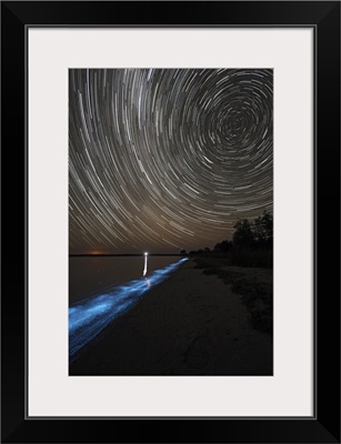 Star trails over bioluminescence in waves on the shores of the Gippsland Lakes Australia
