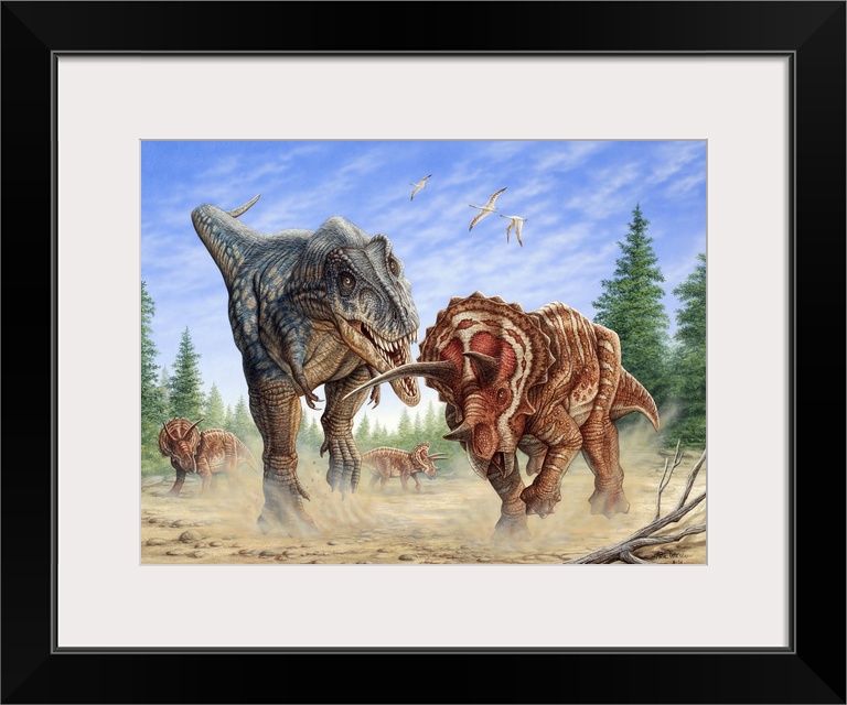 T-rex fighting a group of Triceratops.