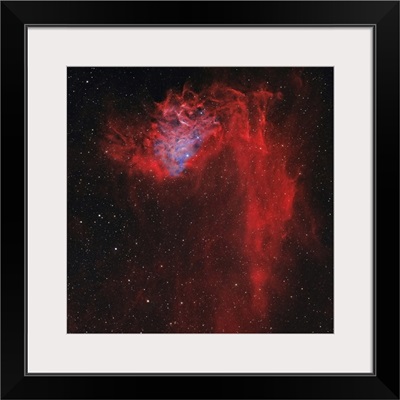 The Flaming Star Nebula