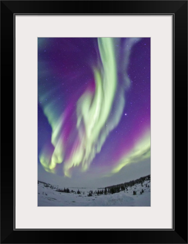 February 16, 2015 - The Northern Lights in Churchill, Manitoba, Canada, at 58 degrees latitude, and under the auroral oval...