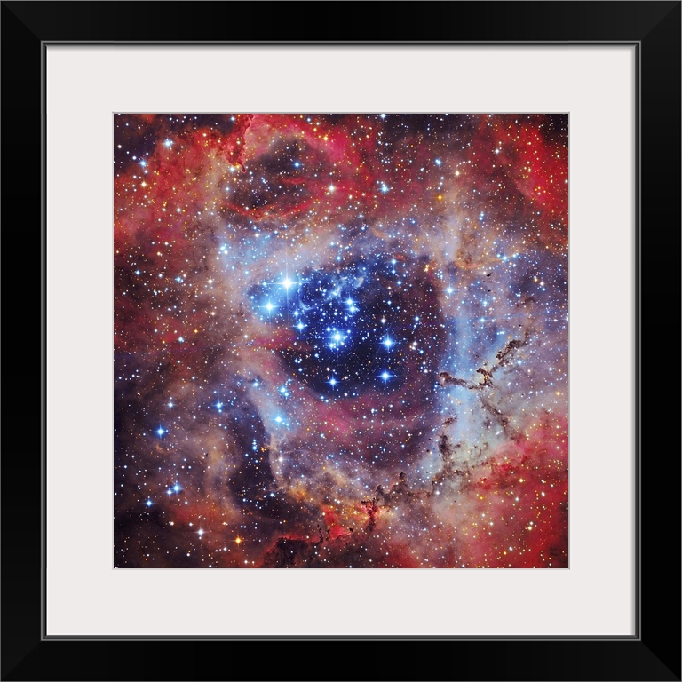 The Rosette Nebula