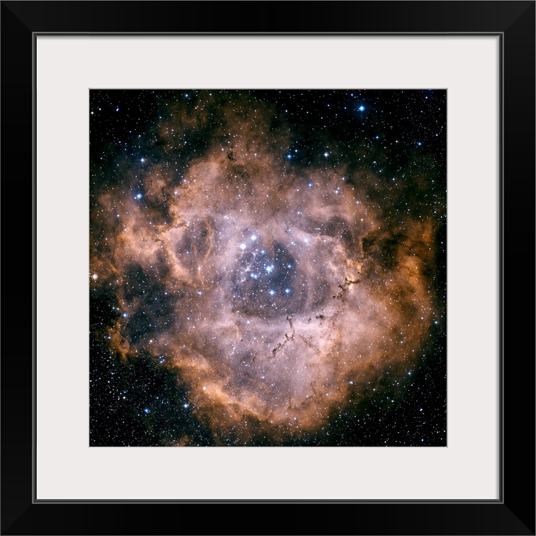 The Rosette Nebula