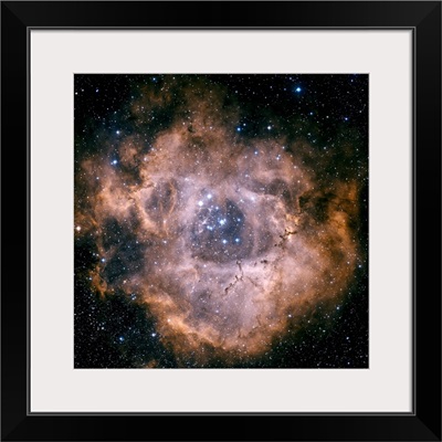 The Rosette Nebula