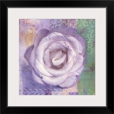 Lavender Rose I