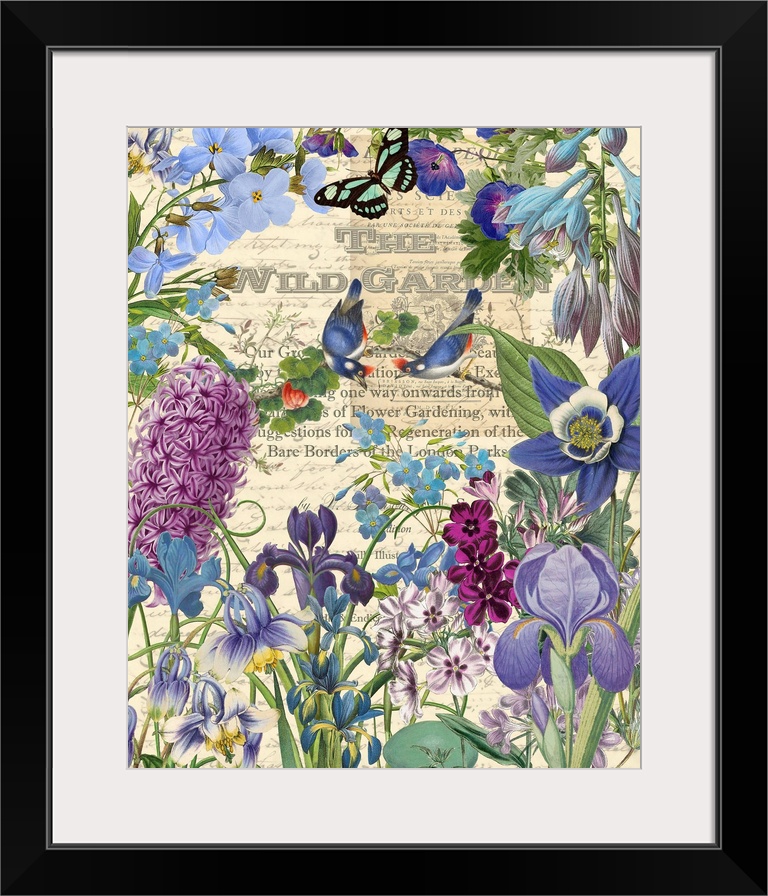 Vintage illustrations of irises and birds arranged in a garden scene.