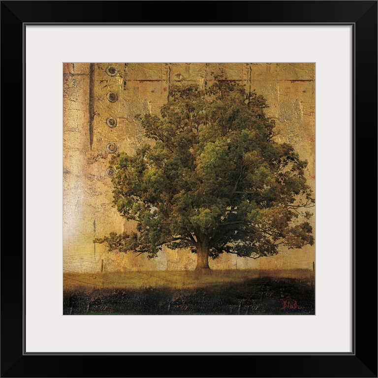 This square shaped decorative accent is a composite of a nature photograph and industrial textures to create the finished ...