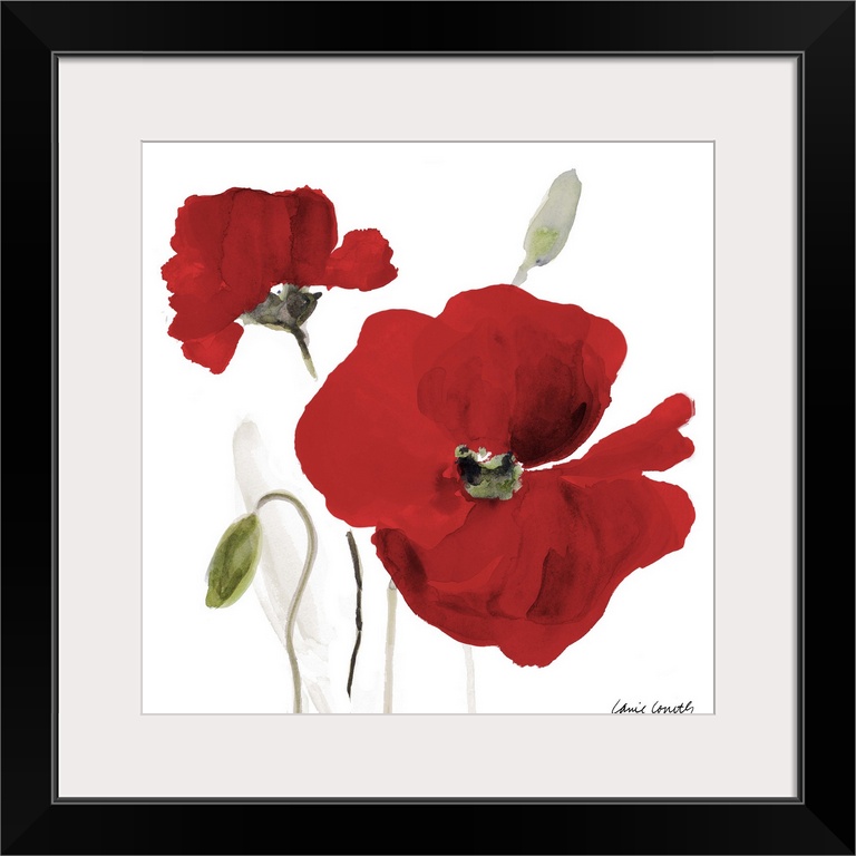 Square watercolor painting of two red poppy flowers.