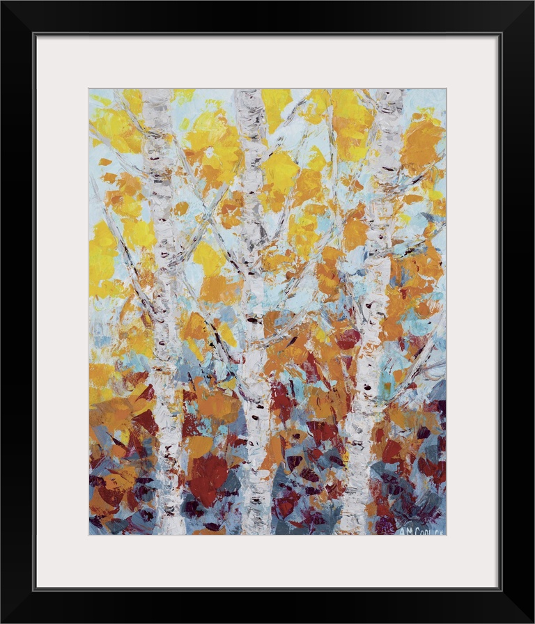 Three white aspen trees with fall leaves.