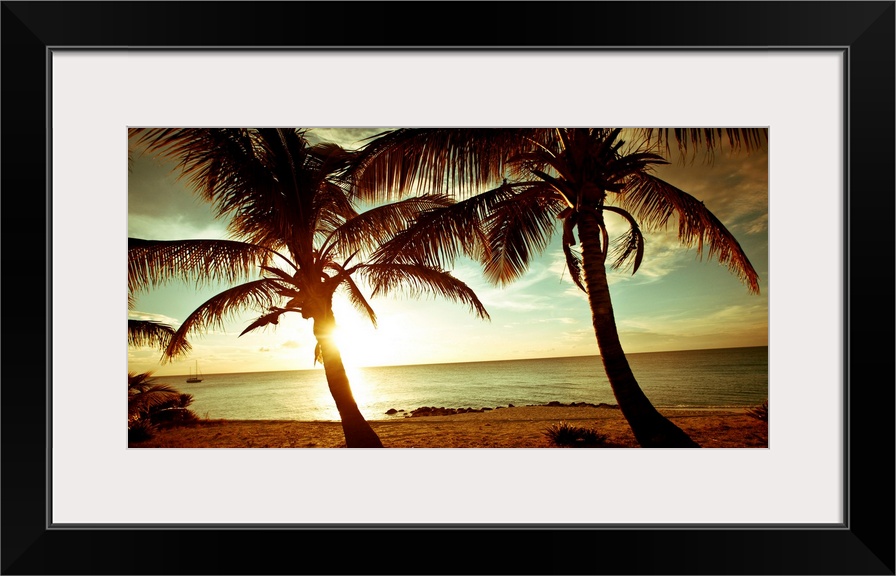 Panoramic photograph of beach in the Bahamas at dusk with huge palm tress in the foreground.   The sky is cloudy and the s...