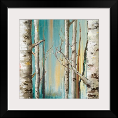 Birch Forest II