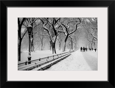 Central Park Snow