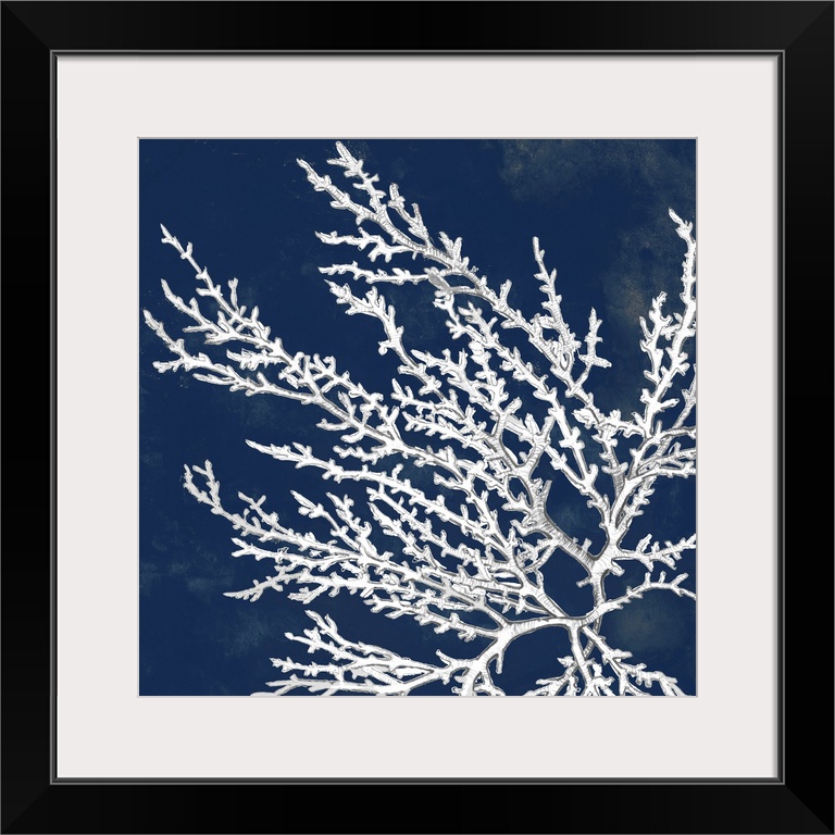 A drawing of coral over a dark ink washes in this square decorative wall art.