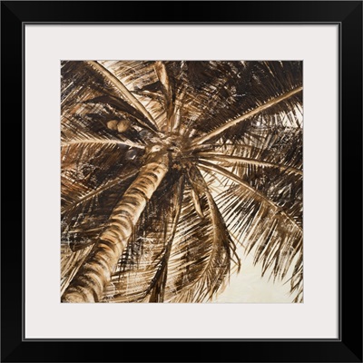 Coconut Palm II